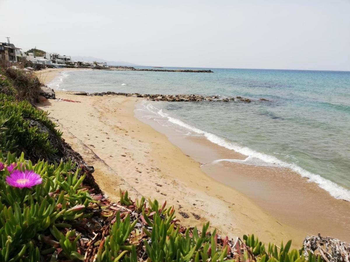 Panasia Seaview Apartments Kokkini Hani Exterior photo